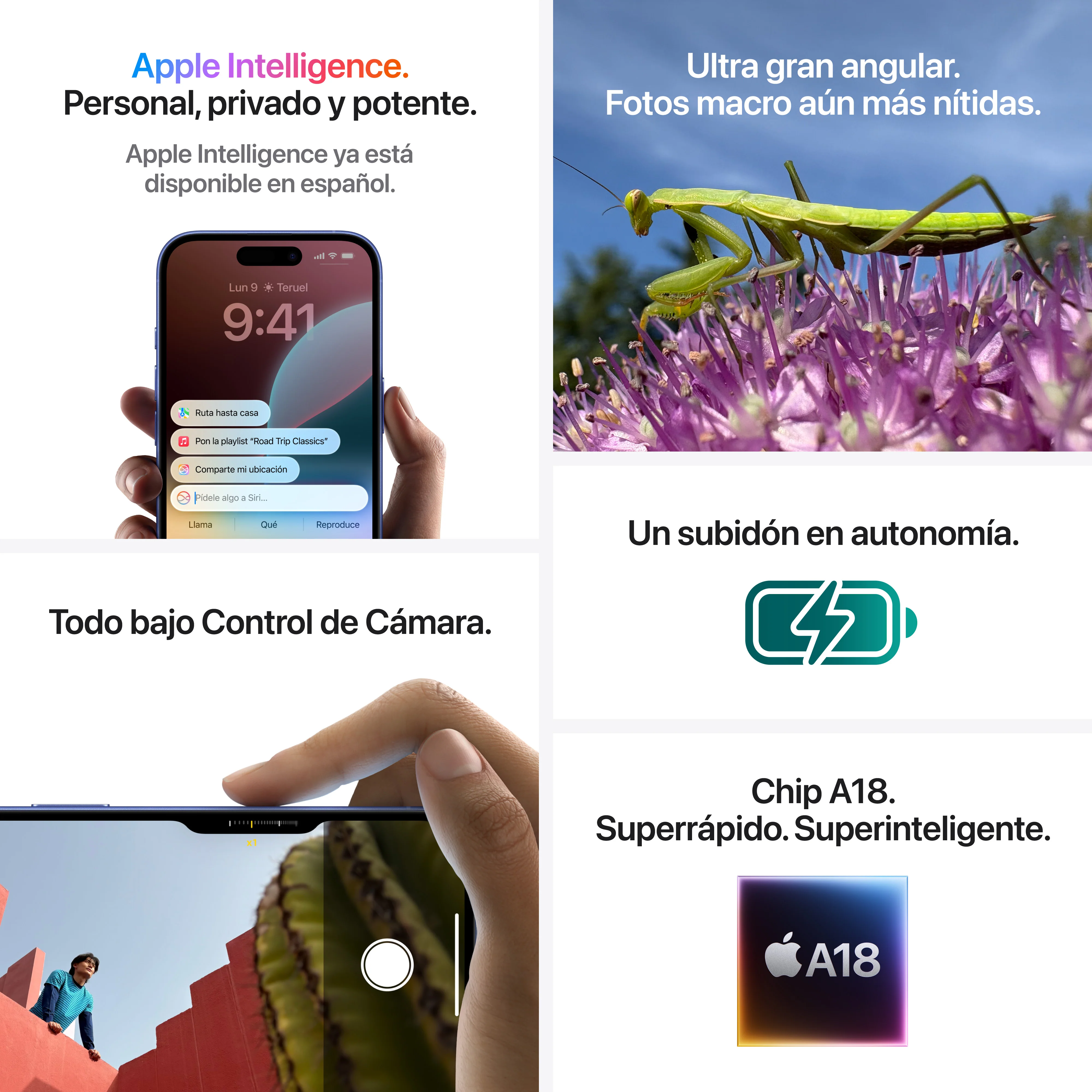 Imagen del producto 8