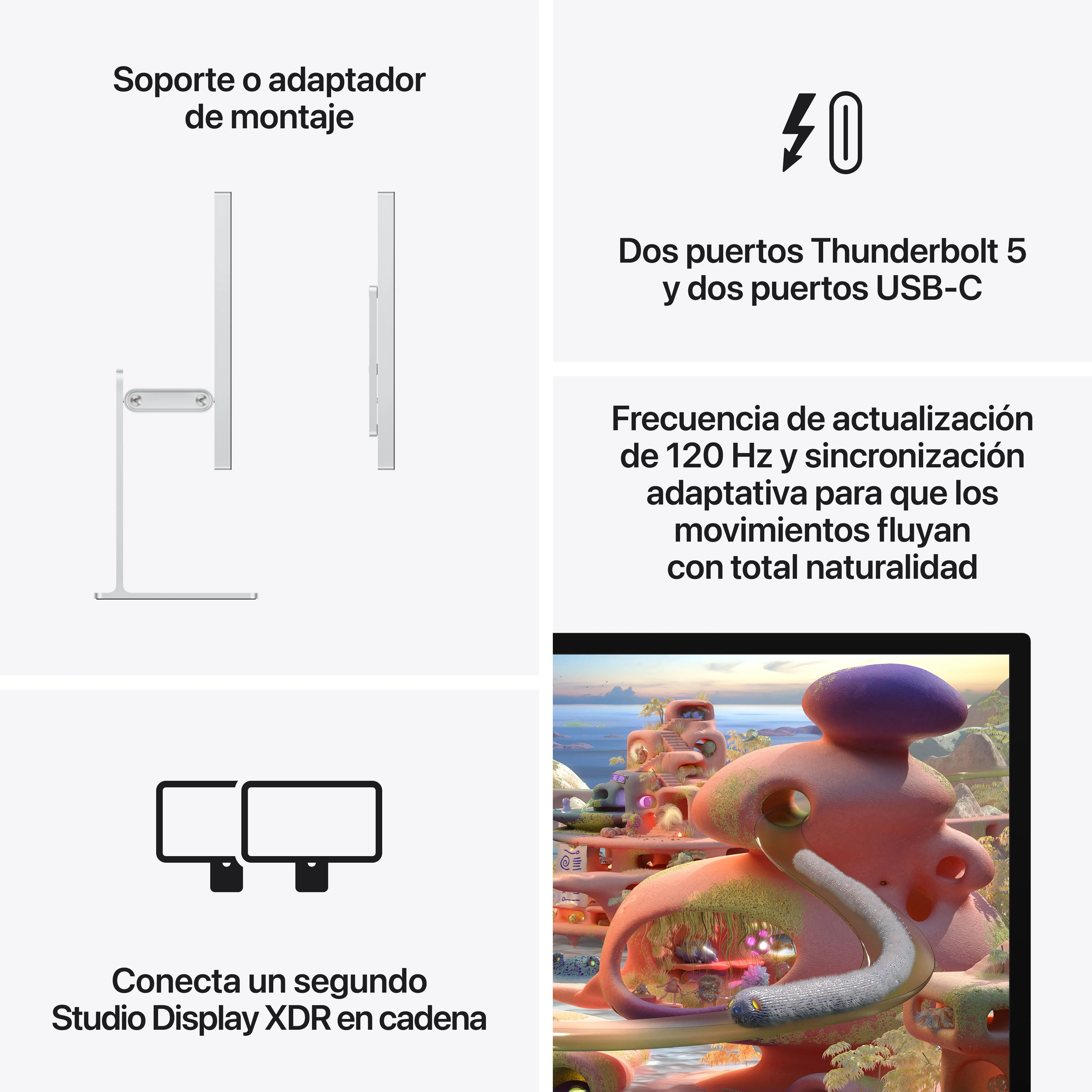 Imagen del producto 8